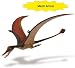 Safari: Rhamphorhynchus