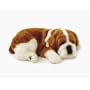 Perfect Petzzz Bully Bulldog