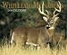 Book Whitetail Monarchs 2006 Calendar (Wall Calendars)