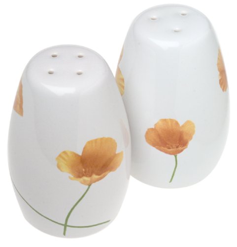 Pfaltzgraff Sunshine Salt and Pepper Set