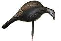 ML Lynch Fool-Proof Feeding Hen Inflatable Turkey Decoy