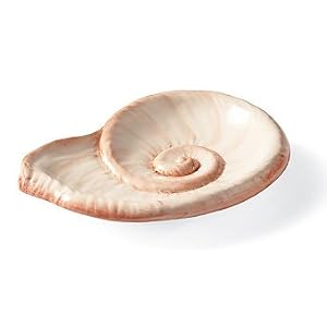 Coral Bath Shell Soap Dish - Frontgate