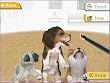 nintendogs 柴&フレンズ