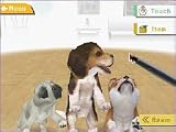 nintendogs 柴&フレンズ