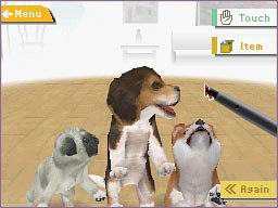 nintendogs 柴&フレンズ