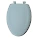 Bemis 1200SLOWT 344 Slow Close Elongated Plastic Seat, Heron Blue