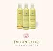 Dream Lotus Aromatherapy Massage Oil - Calming Moments (Lavender & Citrus)