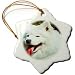 Samoyed - 3 Inch Snowflake Porcelain Ornament