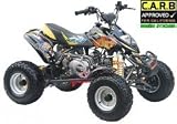 110cc Leopard-110 Racing Quad
