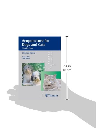 epub einführung in die