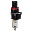 Regulator & Filter w/Gauge