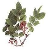 Prickly Ash Capsules