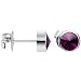 6mm Bezel February Birthstone Stud Earrings