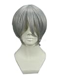 Silver Short Length Anime Cosplay Wig Costume