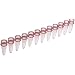 BrandTech 781281 Plastic 0.2mL PCR 12-Tube Strip, Rose (Pack of 125)
