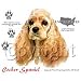 Cocker Spaniel Adult T-Shirt