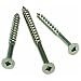 Simpson Strong-Tie S10300DB5 Stainless Steel Bugle Head Screw