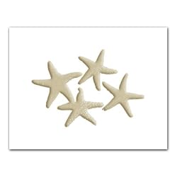 Starfish - Gift Enclosure Cards (set of 12)