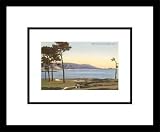 Spectacular California Golf, Framed Print by Unknown, 16x14