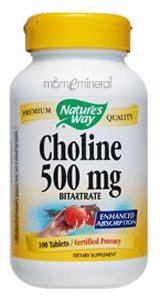 Choline 500 mg 100 tabs by Nature's Way