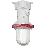 Explosionproof Incan Ceiling W-O Guard Hubs 1-2