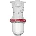 RAB Lighting EX12 Explosionproof Ceiling Mount Fixture with 4 hubs (1/2