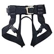 Black Diamond Alpine Bod Climbing Harness