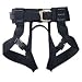 Black Diamond Alpine Bod Climbing Harness