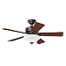 Hunter 20413 Auberville 44-Inch New Bronze Ceiling Fan with Light and 5 Dark-Cherry/Medium-Oak Blades