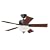 Hunter 20413 Auberville 44-Inch New Bronze Ceiling Fan with Light and 5 Dark-Cherry/Medium-Oak Blades