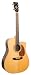 Recording King Classic Series I Dreadnought Acoustic Guitar, Rosewood Back & Sides, Cutaway with Fishman Pickup