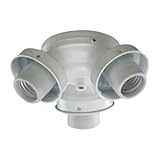 Quorum International 2303-808 3 Light Fan Light Kit
