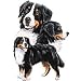 Bernese Mountain Dog Adult T-Shirt