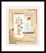 Art Poster Wood Framed Print - Botanical Lily - Artist: Gladding- Poster Size: 24 X 20