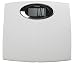 Taylor 7308 Lithium Scale with Large 1.8 inch LCD Display