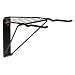 Racor Pro PSB-2L Double Folding Bike Rack