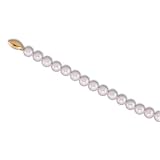 6.5mm to 7mm White Cultured Semi Round Freshwater Pearls, 14Kt. Yellow Gold Clasp. Cultured Freshwater Pearls Necklace