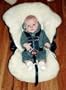 SnuggleWool Infant Car Seat Cover- Universal Size