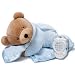 Prince Lionheart Original Slumber Bear with Silkie Blanket - Blue