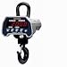 CAS IE-1000C IE Series Economy Crane Scale with LCD Display, 1000lbs Capacity, 0.5lbs Readability