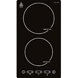 Domino plaque a inductionpar InduFix