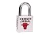 NBA - Chicago Bulls - Team Image Line - Hitch Cover Lock