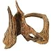 DESIGN ELEMENTS CYPRESS ROOT AQUARIUM ORNAMENT, Size: 11.5X6.5X11.5 (Catalog Category: Aquatics:DECORATIONS)