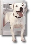Petsafe Large Satin Classic Pet Door