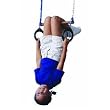 Swing N Slide NE4488 Ring and Trapeze Combination