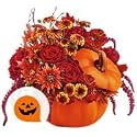 Flowers - Beverly Bewitched