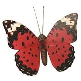 BUTTERFLY MAGNET 3P/SET〔バタフライ マグネット〕 2 レッド