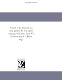 Report of the directors and mine agent of the Star copper company, with letters from Wn. H. Stevens and A. C. Davis, esqs.