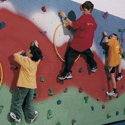 Build Your Own Climbing Wall Kit - 24'L x 8'H