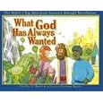 What God Has Always Wanted: The Bible's Big Idea from Genesis Through Revelation